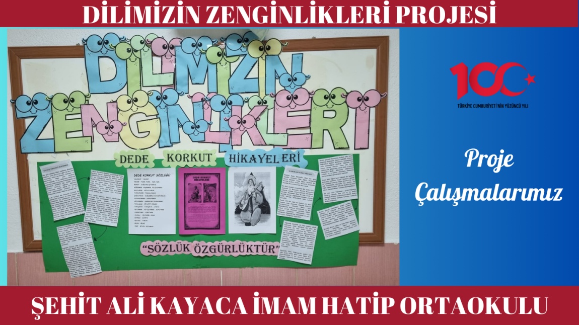 DİLİMİZİN ZENGİNLİKLERİ PROJESİ